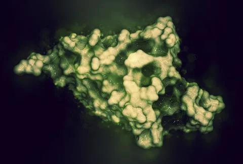 Programmed cell death 1 (PD-1, CD279) receptor protein, 3D illustration. Stock Illustration