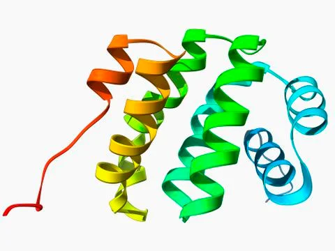 Programmed cell death protein molecule 스톡 일러스트