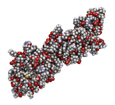 Programmed death-ligand 1 (PD-L1) protein, 3D rendering. Produce Stock Illustration
