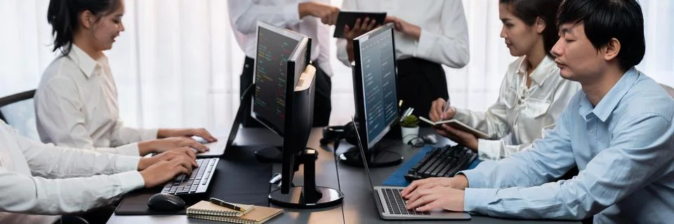 Programmer and software engineer working in tech develop company. Trailblazing 库存照片