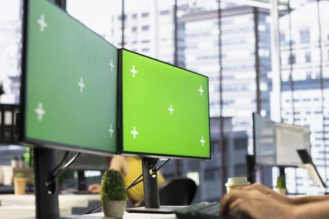 Programmer checking code on chroma key desktop PC, solving tasks in workspace 写真素材