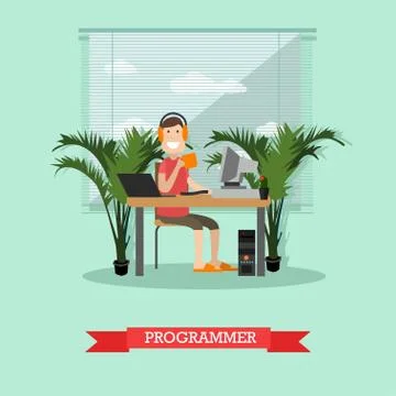 Programmer concept vector illustration in flat style Stock-Illustration