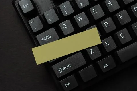 Programmer Creating New Software, Coder Typing Programming Language, Browsing Stock Photos