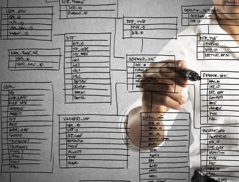 Programmer designs and organizes a new database Stock Photos