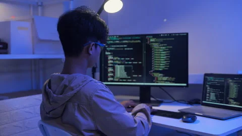 Programmer developer coding script Stock Footage 325554633