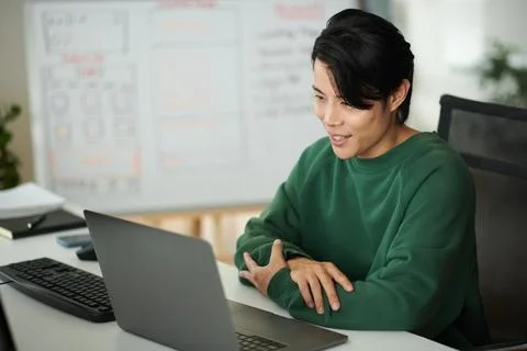 Programmer Discussing Project in Online Meeting Stock Photos
