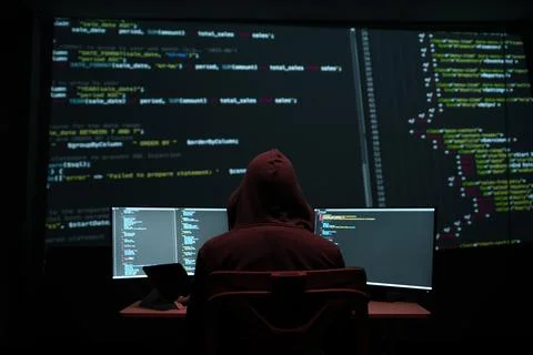 Programmer Hacker Editing Metadata in a Digital Interface 写真素材