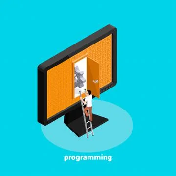 The programmer studies the computer program code, the open door in the monito 스톡 일러스트
