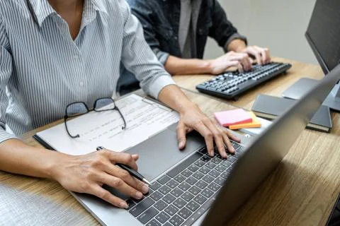 Programmer Team of  Developing programming and website working in a software Stock-Fotos