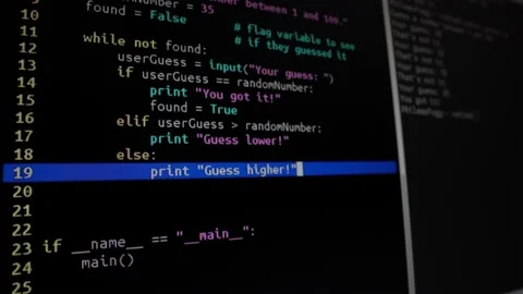 A programmer writes a program code, creating a program Video stock 142101858