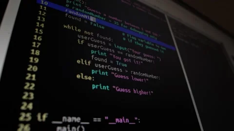 Programmer writes program code, creating a program, on the screen, programme Stock Footage 142102395