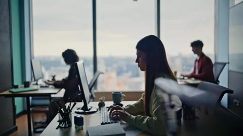 Programmers silhouettes coding computers together at spacious coworking zone Stock Footage 319762066