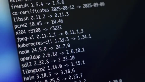 Programming code displays software updates, package versions, and system in.. Stock Footage 318832038