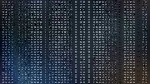 Programming code strings running on screen, hacking in process, security breach Stock Footage 75241536