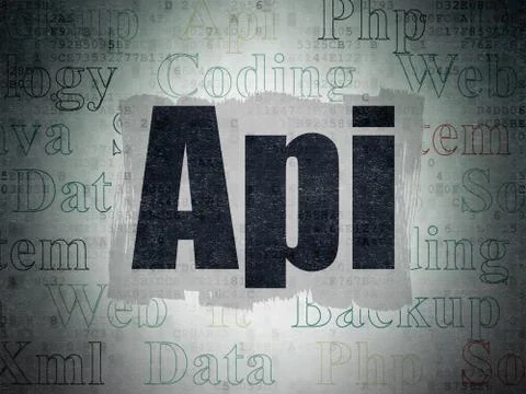 Programming concept: Api on Digital Data Paper background Stock-Illustration
