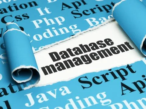 Programming concept: black text Database Management under the piece of  torn Stock Illustration