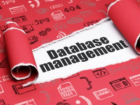 Programming concept: black text Database Management under the piece of  torn Stock Illustration