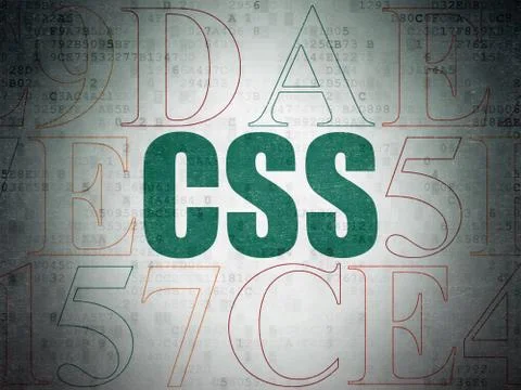 Programming concept: Css on Digital Data Paper background Stock Illustration