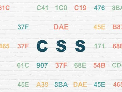 Programming concept: Css on wall background Stock-Illustration