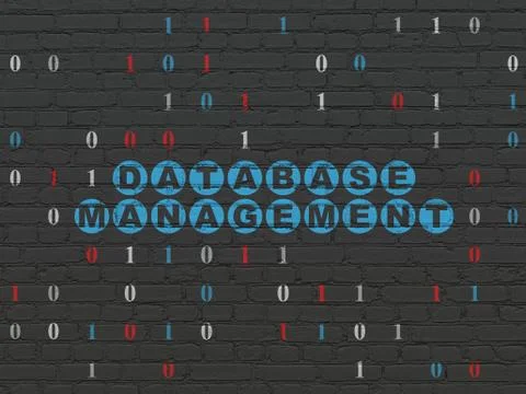 Programming concept: Database Management on wall background Illustrazione stock