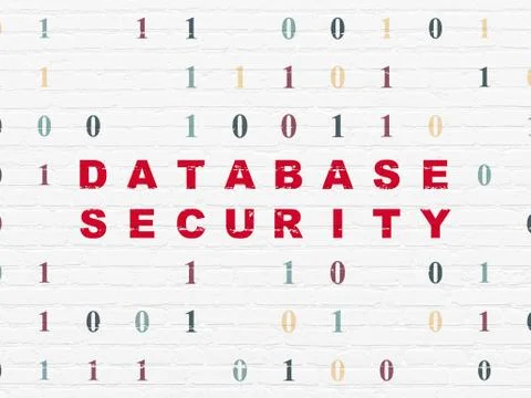 Programming concept: Database Security on wall background Stock Illustration