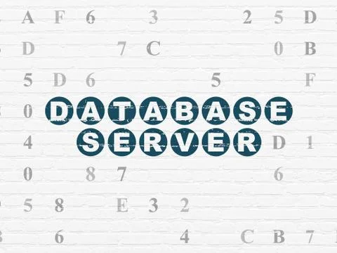 Programming concept: Database Server on wall background 库存插图