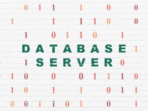 Programming concept: Database Server on wall background Stock-Illustration