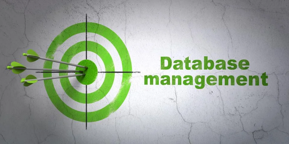 Programming concept: target and Database Management on wall background 스톡 일러스트