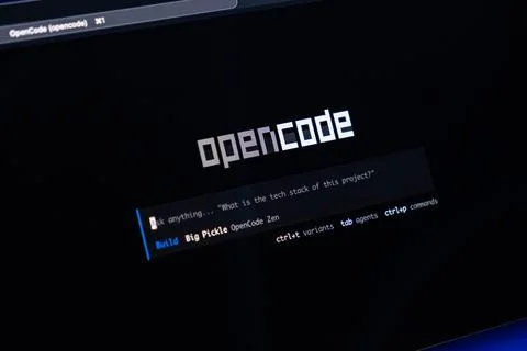 Programming interface with a command prompt on a dark screen, representing Photos