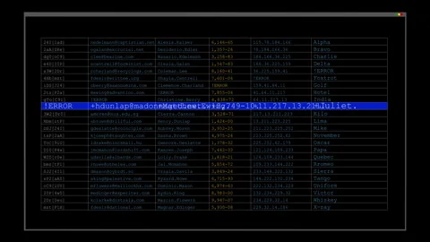 Programming Interface for Cybersecurity Technology Stock Footage 340505724
