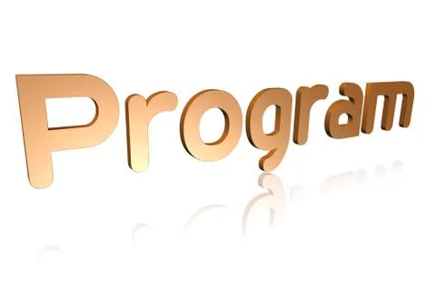 Programming Term - Program -  3D image Illustration