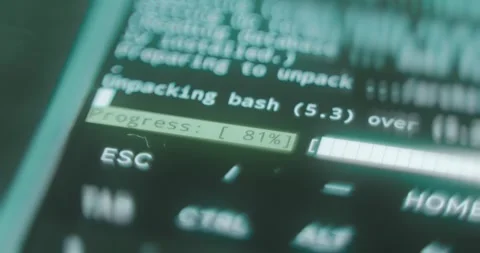 Progress bar of a software installation Stock Footage 313622045