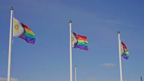 Progress Pride Flags with Intersex Symbol on Poles Stock Footage 316820085