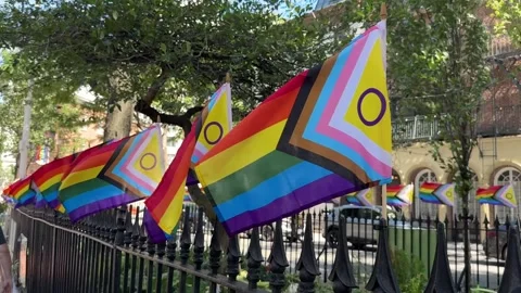 Progress Pride flags waving on Stonewall National Monument fence Stock Footage 337591209