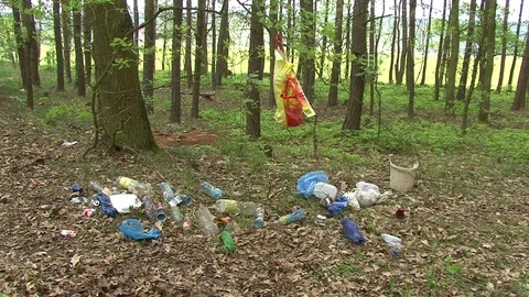 Prohibited waste dump in the woods Stock Footage 77646660