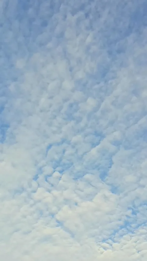 Project 2Bright white clouds fly across the bright blue sky. The sky is cle.. Stock Footage 287214129