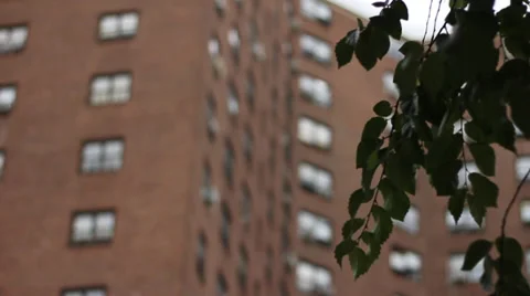 Project housing Stock Footage 35736610