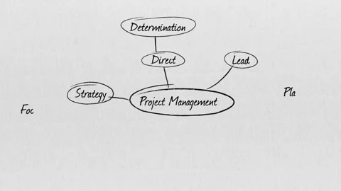 Project Management Brain Stormig Stock Footage 154935620