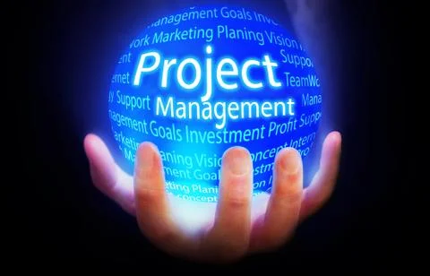 Project Management globe in hand blue,concept background business isolated Stock Illustration