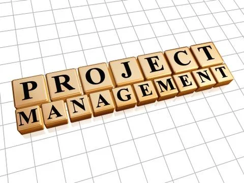 Project management in golden cubes Stock Illustration