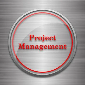 Project management icon. Internet button on metallic background.. Stock Illustration