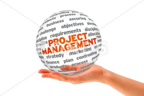Project management Stock Illustration