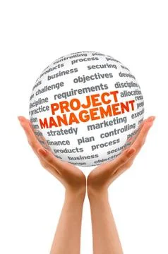 Project management Stock Illustration