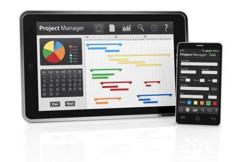 Project management Illustrazione stock