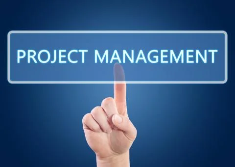 Project management Illustrazione stock