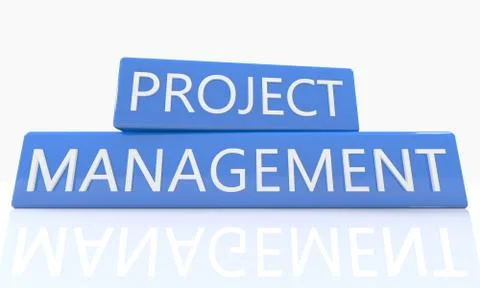 Project management イラスト素材