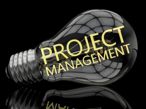 Project Management イラスト素材