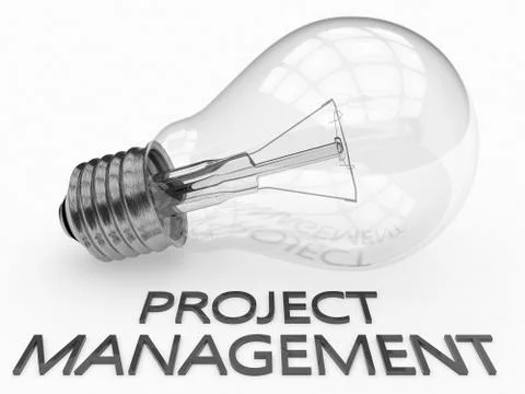 Project Management Illustrazione stock