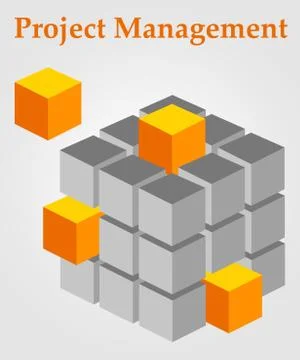 Project management Stock Illustration