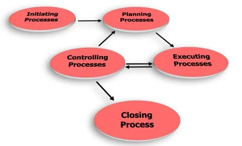 Project management process group Stock Illustration